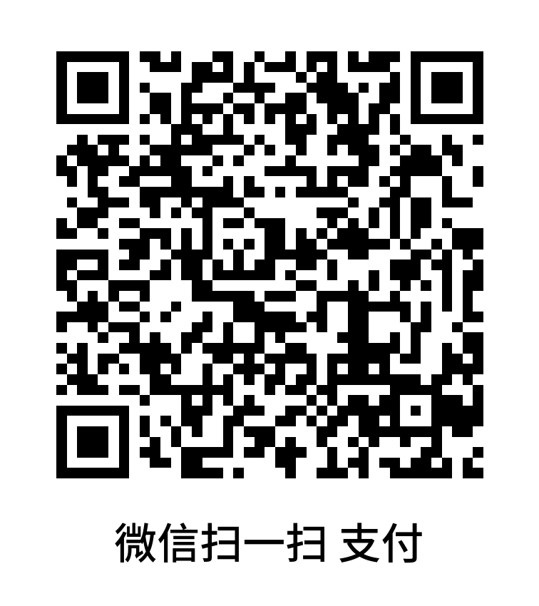 無賴國王 微信支付